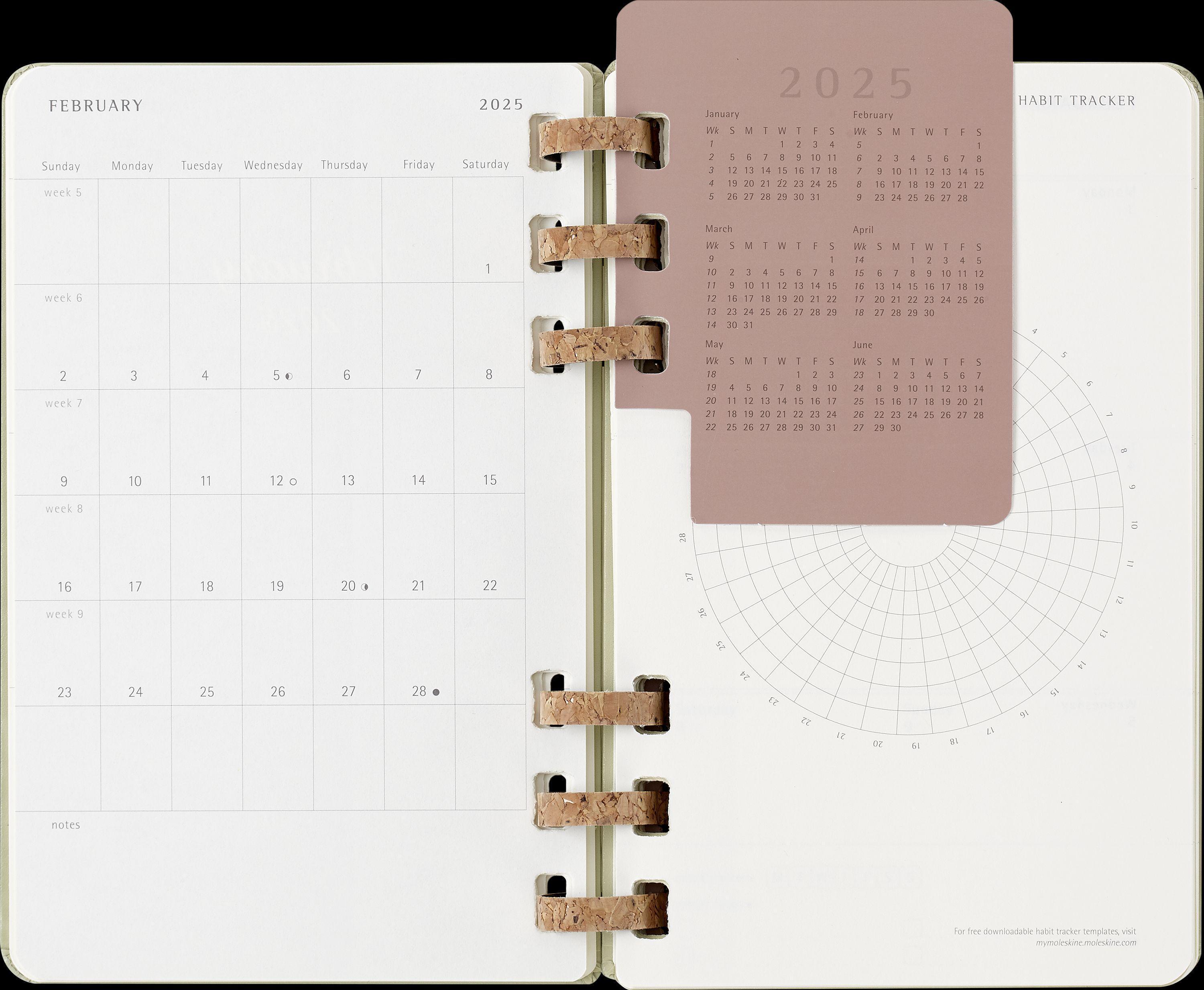 Moleskine 12 Monate Planer mit Spiralbindung, L/A5