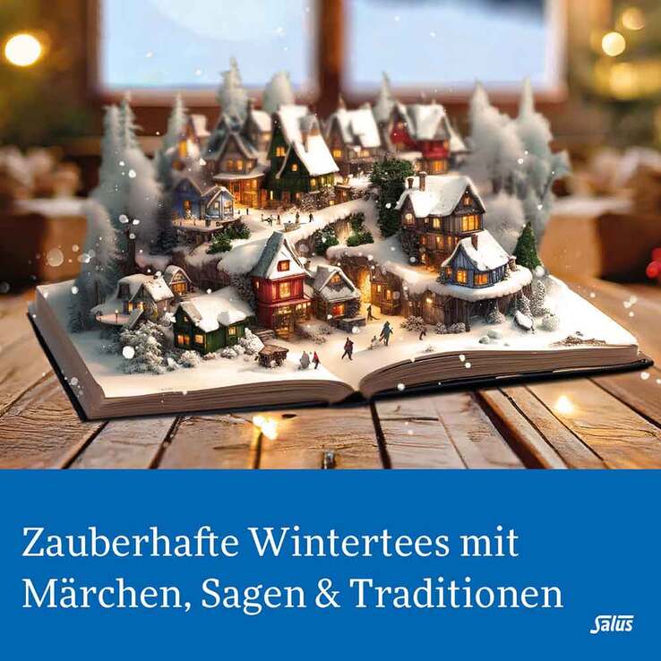 Polarzauber Früchte-Gewürztee Bio Salus Filterbeutel , 15 St