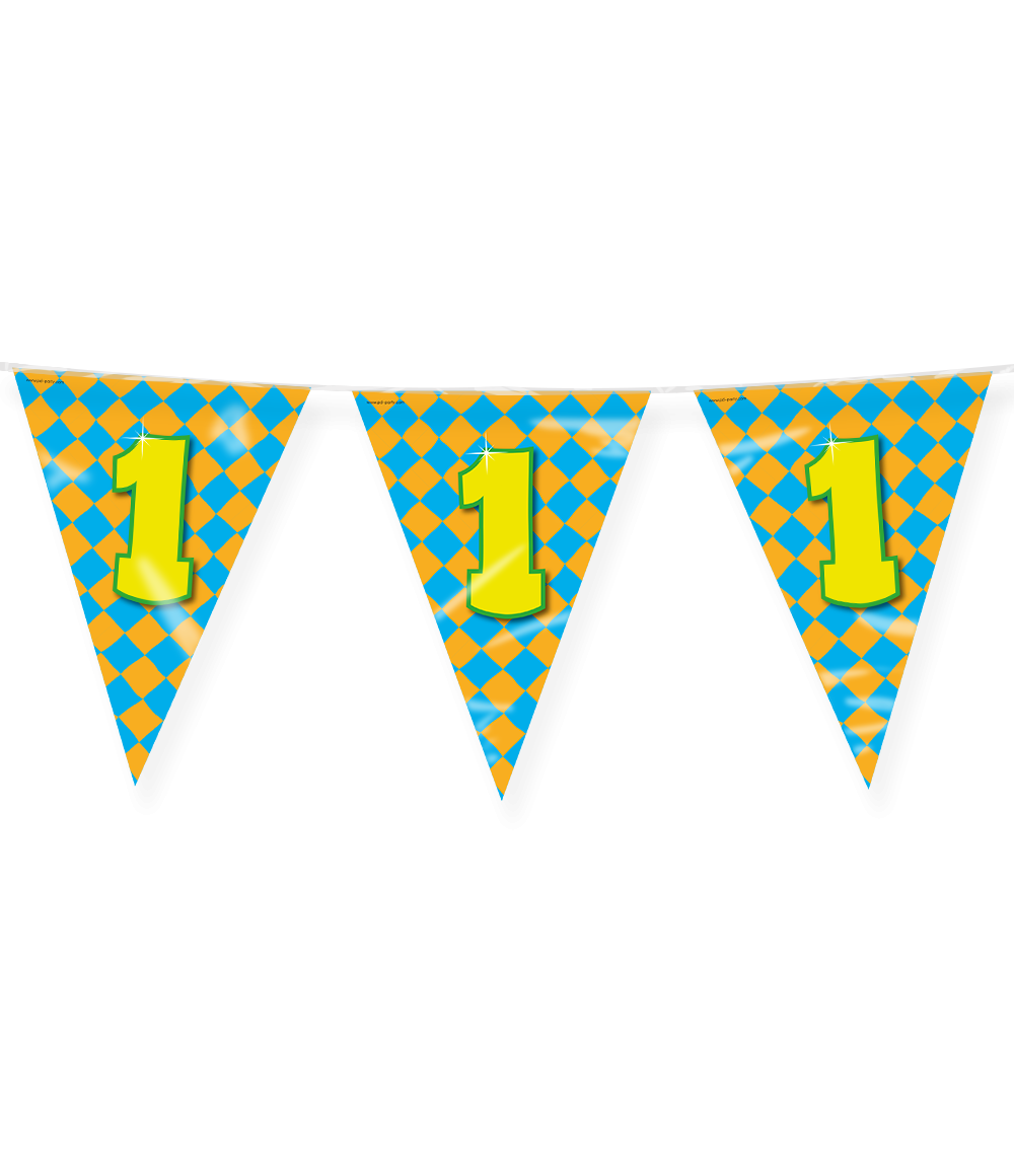 Vlaggenlijn 1 Jaar Gekleurd 10m