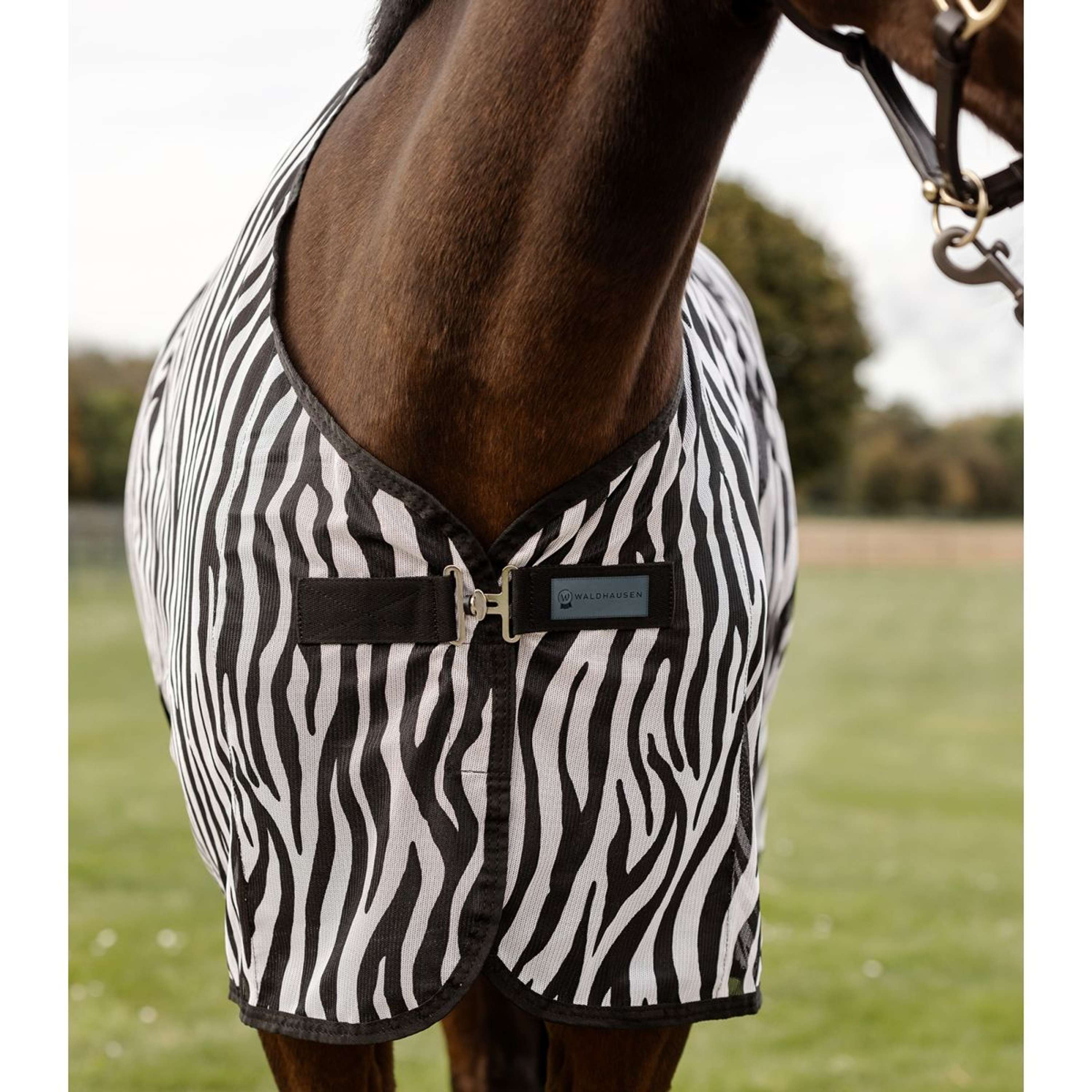 Waldhausen Vliegendeken 2.0 Zebra