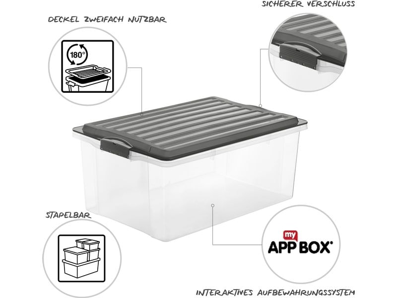 Rotho Aufbewahrungsbox COMPACT, Grau, 3 tlg. A3 Box-Set