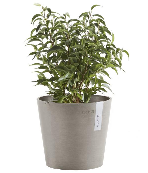 Ecopots Kunststoff-Topf Amsterdam Mini, rund,