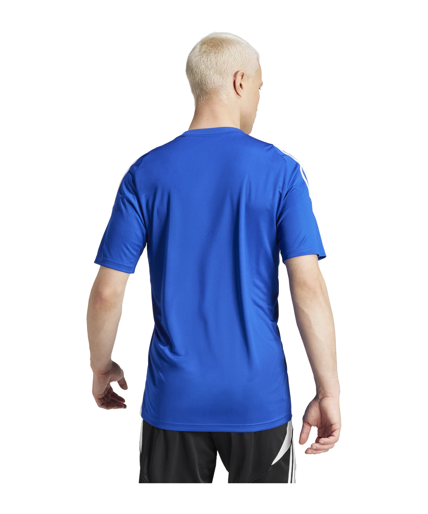 adidas Tiro 24 Trikot Blau Weiss