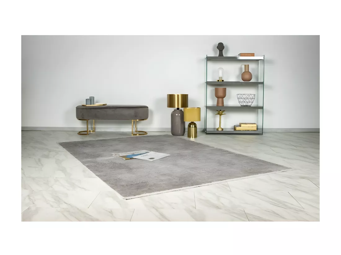 Tapis Pierre Cardin 170x120cm, design E209E coloris argent - Confort et élégance pour votre intérieur