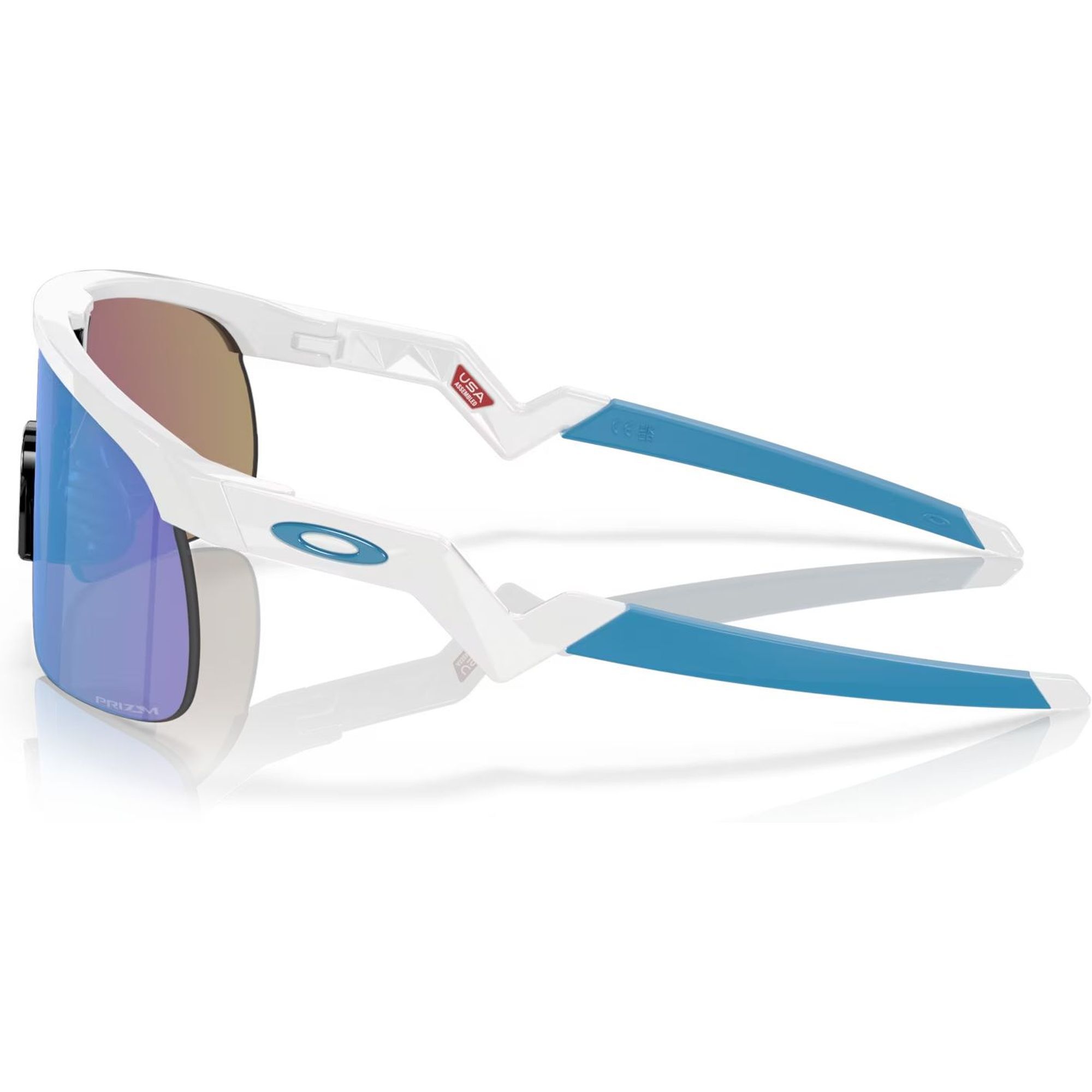 OakleyResistor (Youth Fit) Re-Discover Collection