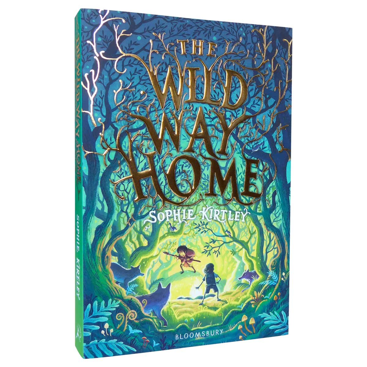 The Wild Way Home (Paperback)