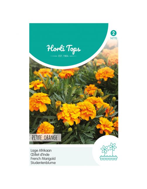Hortitops Tagetes - Lage Afrikaan Petite Orange - Bloemenzaden - 1 g