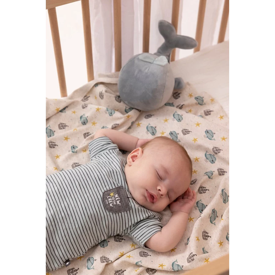 Feetje T-Shirt Ringel Tiny Pirate Minze