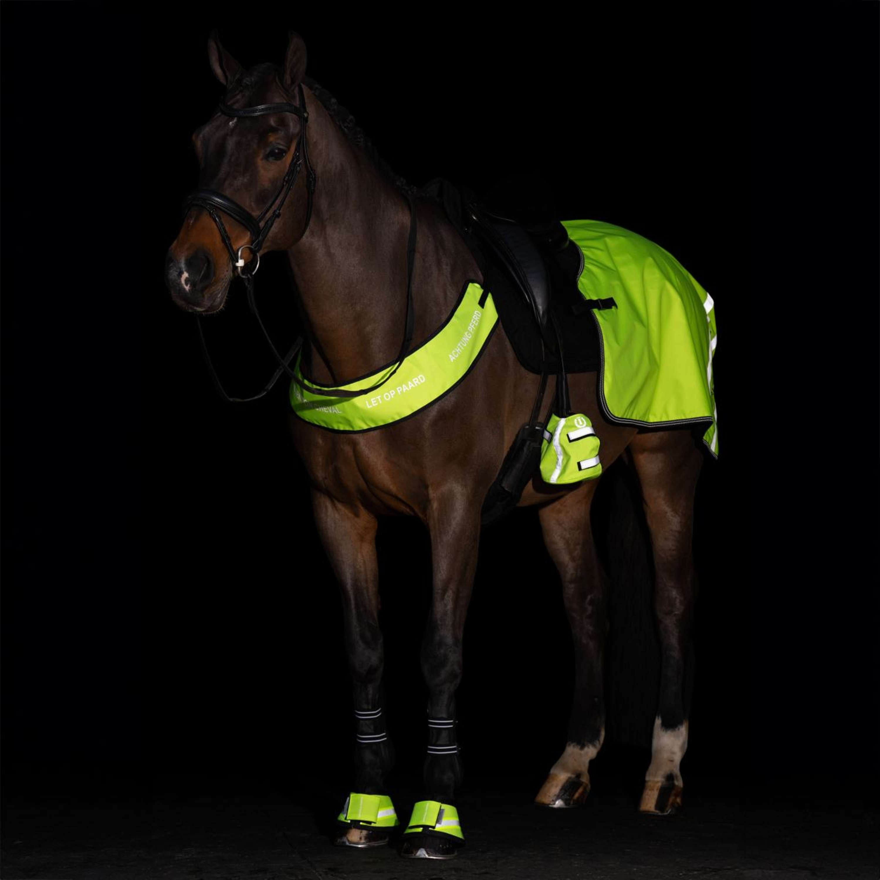 Imperial Riding Teenwarmer IRHReflective Geel