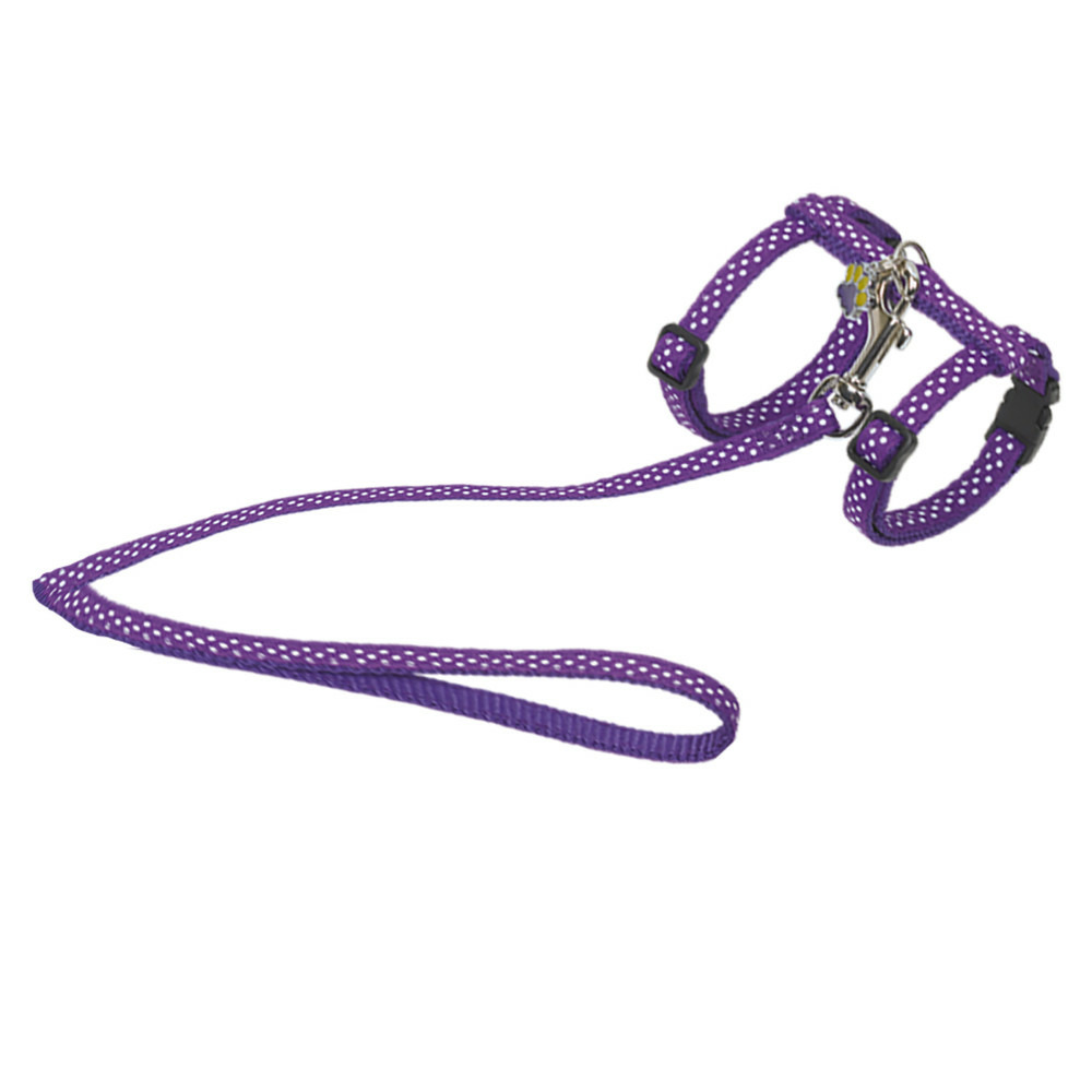Harnais + laisse 120 cm, pour chat , à pois violet, réglable.