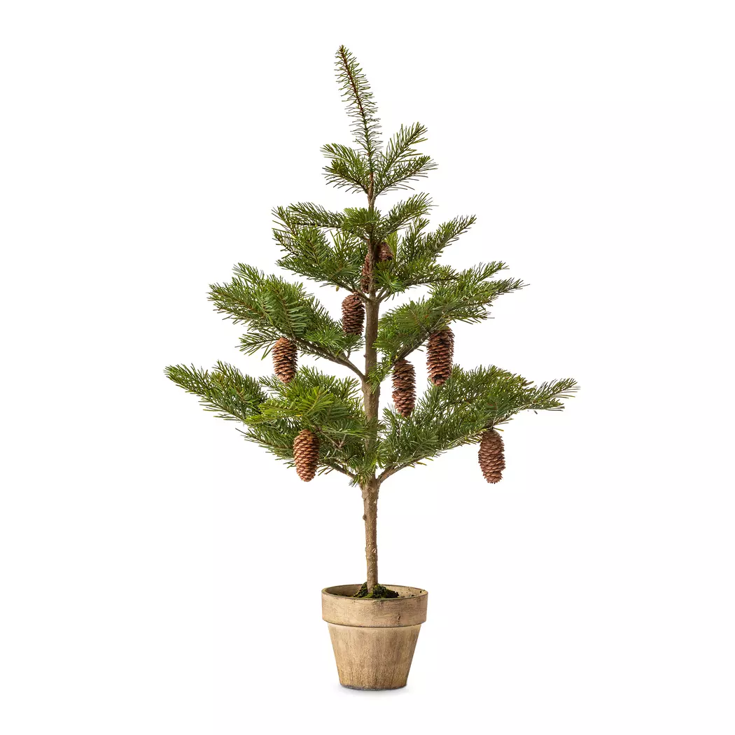 Weihnachtsbaum Nordmanntanne 92 cm
