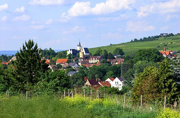Junggesellinnen Abschied Ingelheim am Rhein