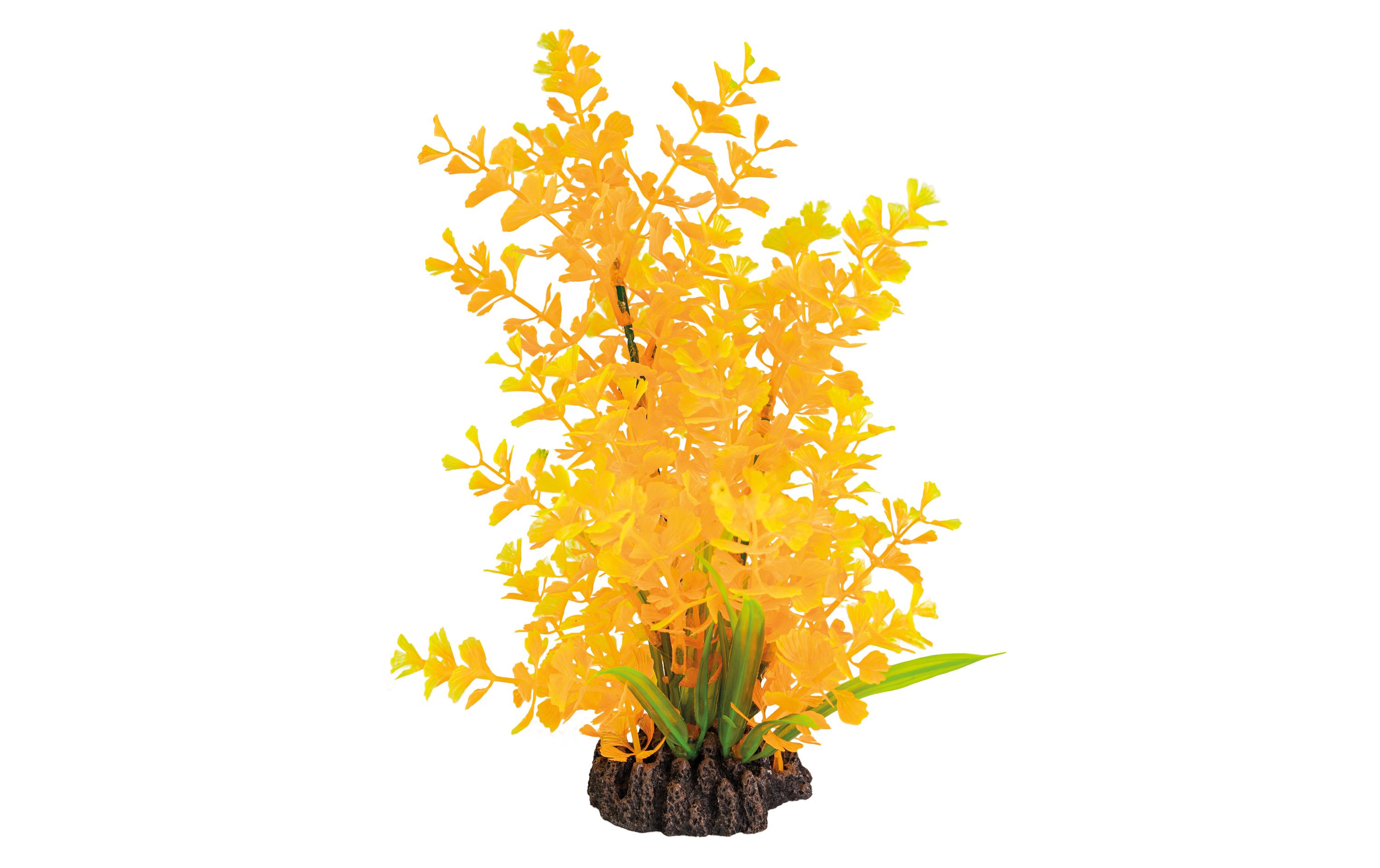 Kunstpflanze Ludwigia Orange, 25 cmWunderschöne, realistisch aussehende Kunstpfanze