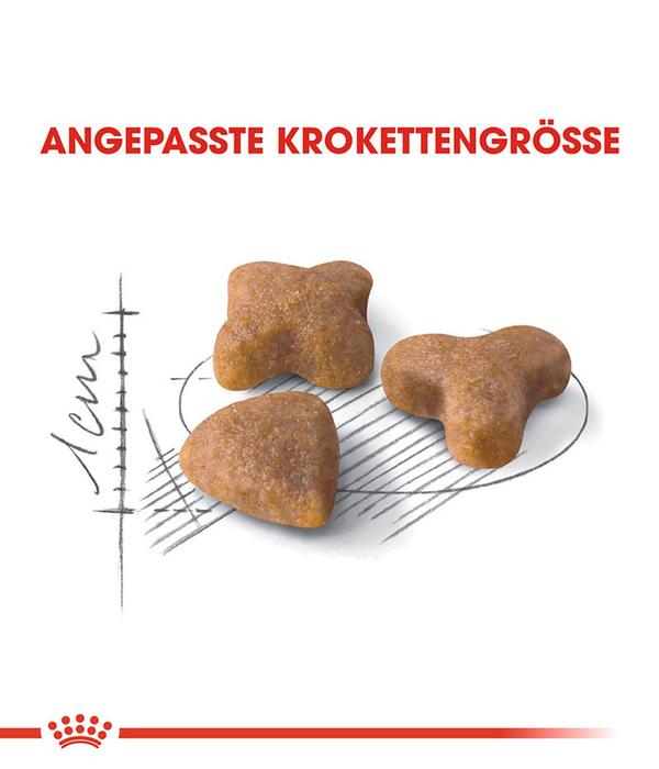 ROYAL CANIN® Trockenfutter für Katzen