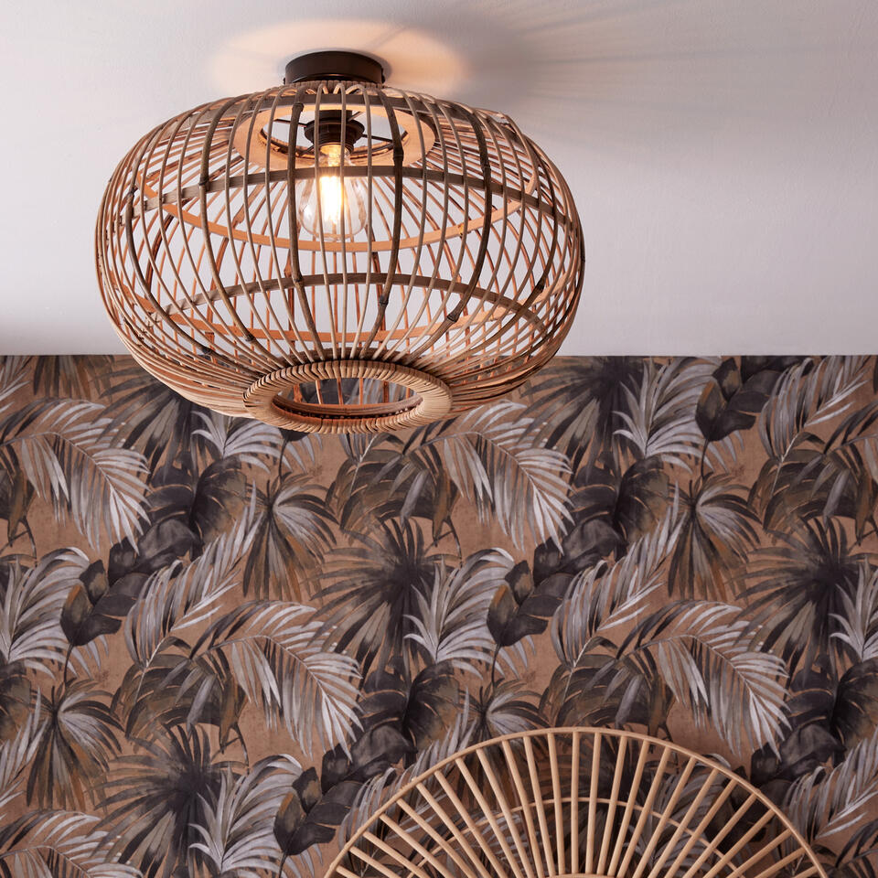 Plafondlamp Boreas