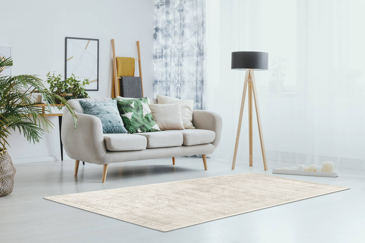 Teppich KARMA 100 - beige-silber - 120x170 cm