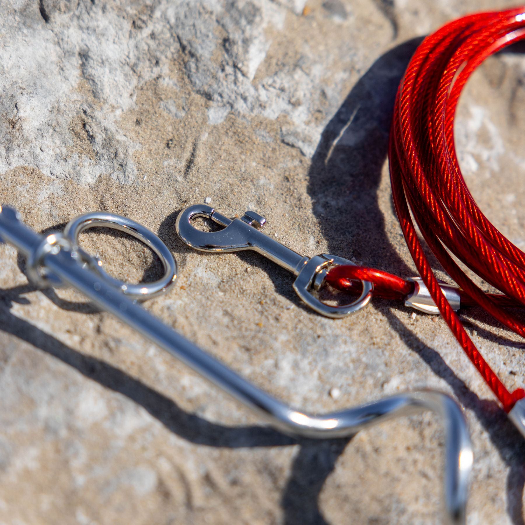 EveBase hondenriem met 4 meter kabel