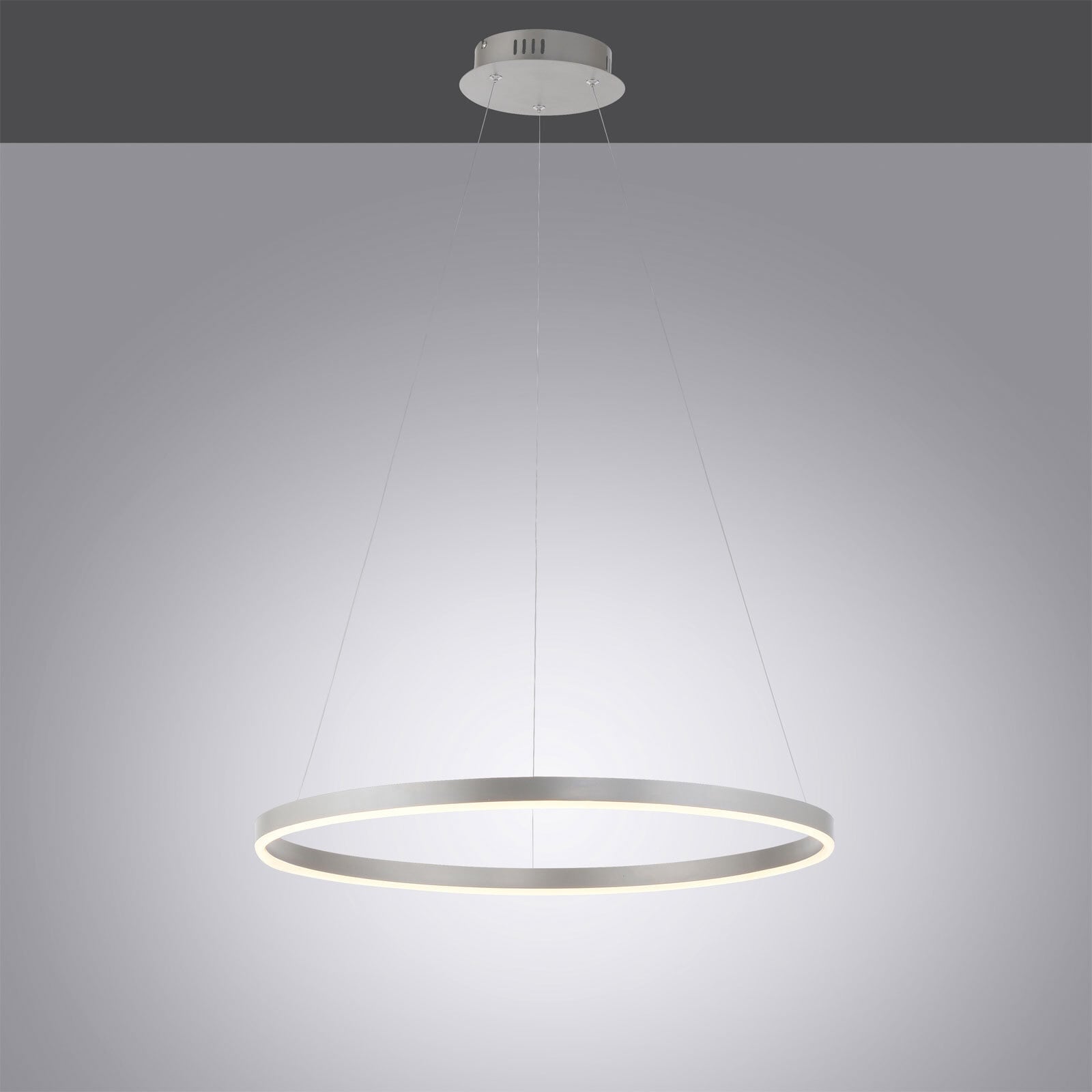 JUST LIGHT LED Pendelleuchte RITUS 58 cm alufarbig
