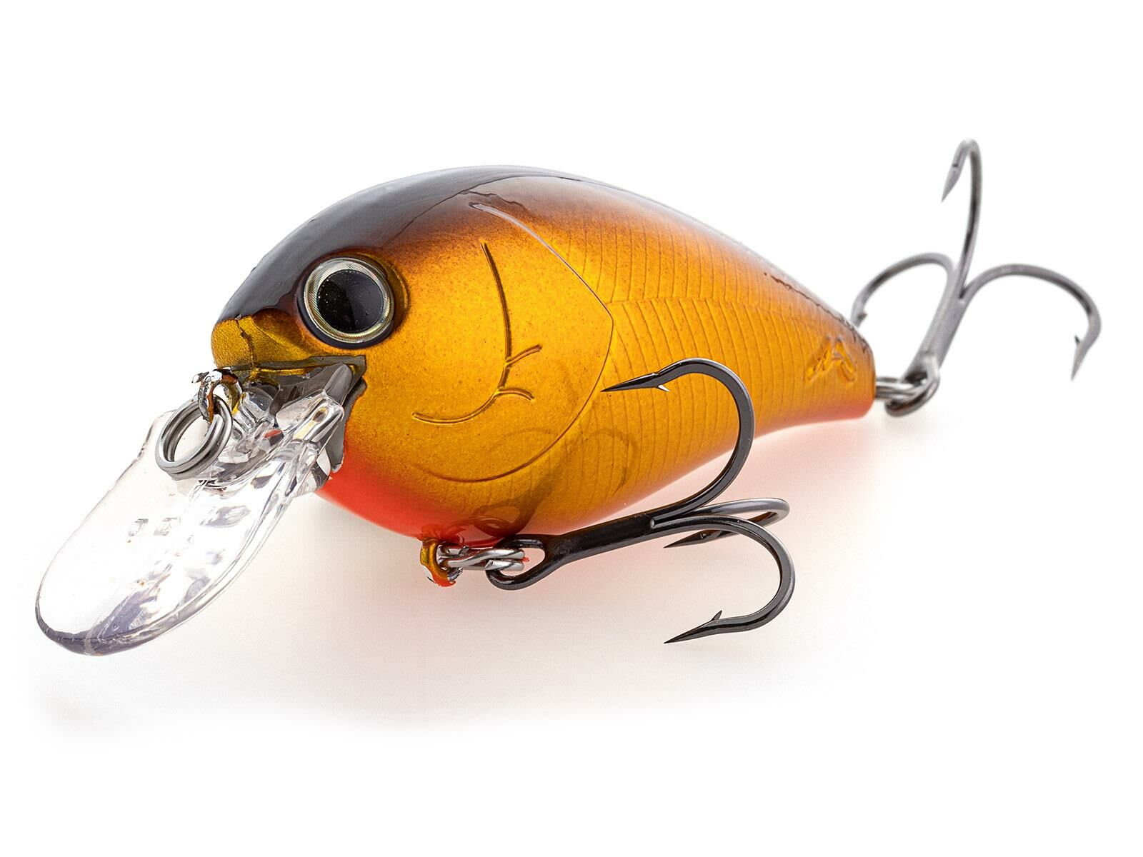 Shot Omega Big 62 (Nories)