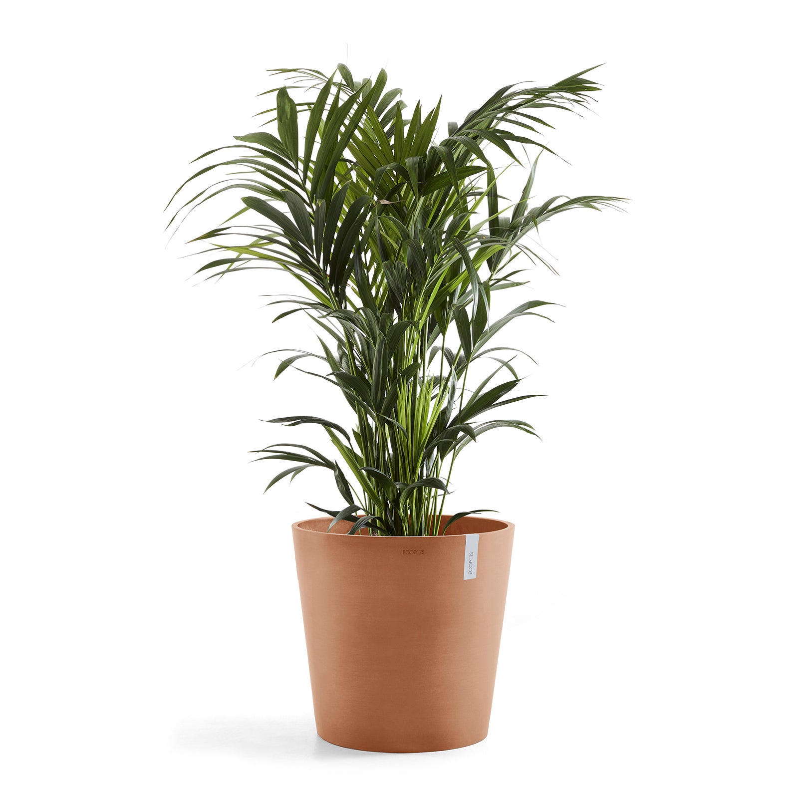 Ecopots Amsterdam 50