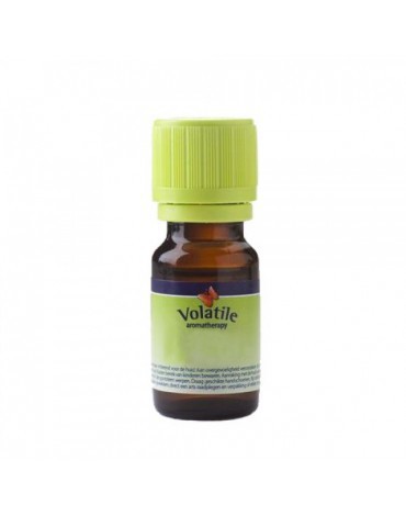 Volatile Eucalyptus citriodora 5ml