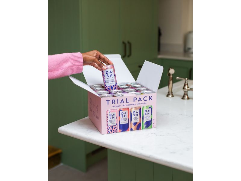 Dash Water Soft-Drinks Discovery Box 16 x 0.33 l Kohlensäurehaltige Erfrischungsgetränke mit verschiedenen Geschmacksrichtungen