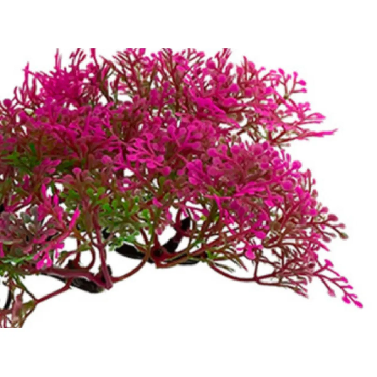 Universal Arbre Bonsai LDPE pour Aquarium