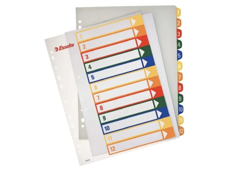 Register PC printbar Esselte PP A4 maxi Flerfarvet - (10 stk.)