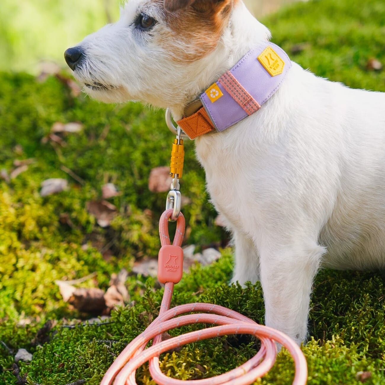 Woolly Wolf Halsband Alpha 360 Lavendermix S