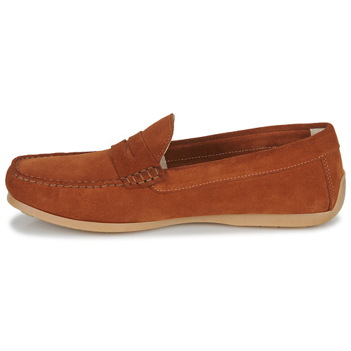 Casual Attitude - OSANA - Cognac