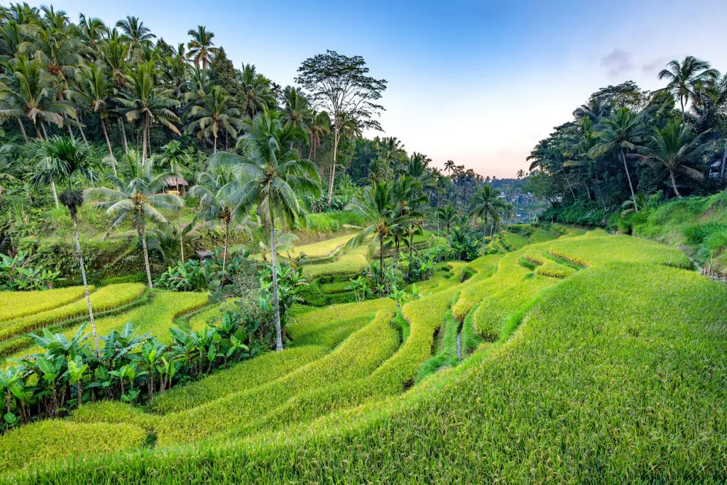 Rondreis Veelzijdig Java & Bali Zie beschrijving - Hotel