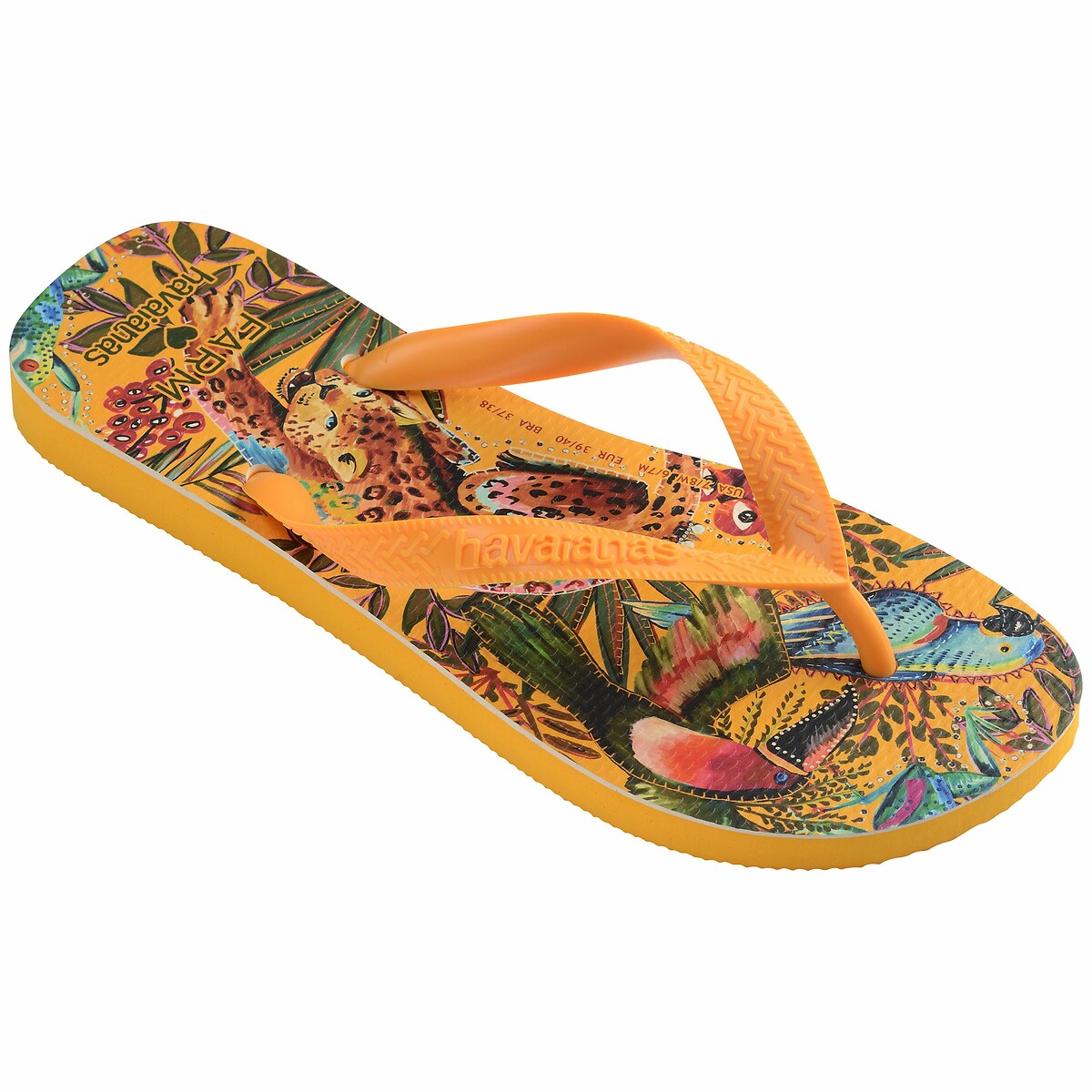 HAVAIANAS<br>Chinelos x Fazenda Rio Selva