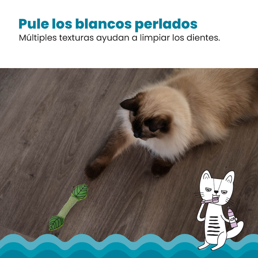Outward Hound Catstages Bastão de Pelúcia com Hortelã para Hálito Fresco - Brinquedo Dental para Gatos