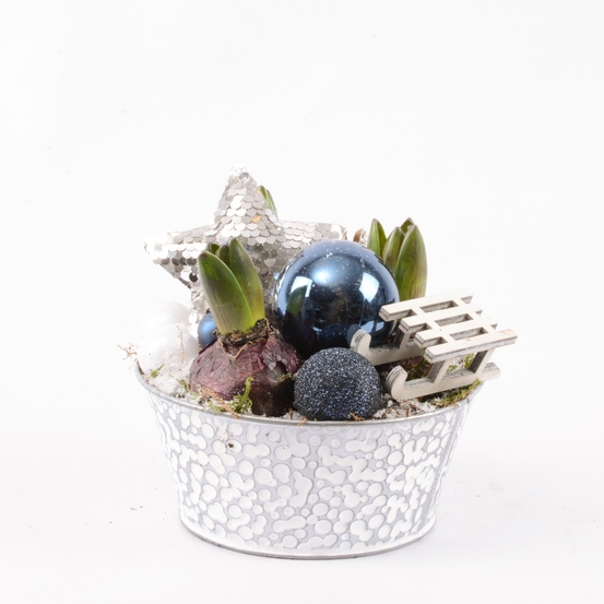 Jacinthe x3 : pot décoration montagne de D17 cm
