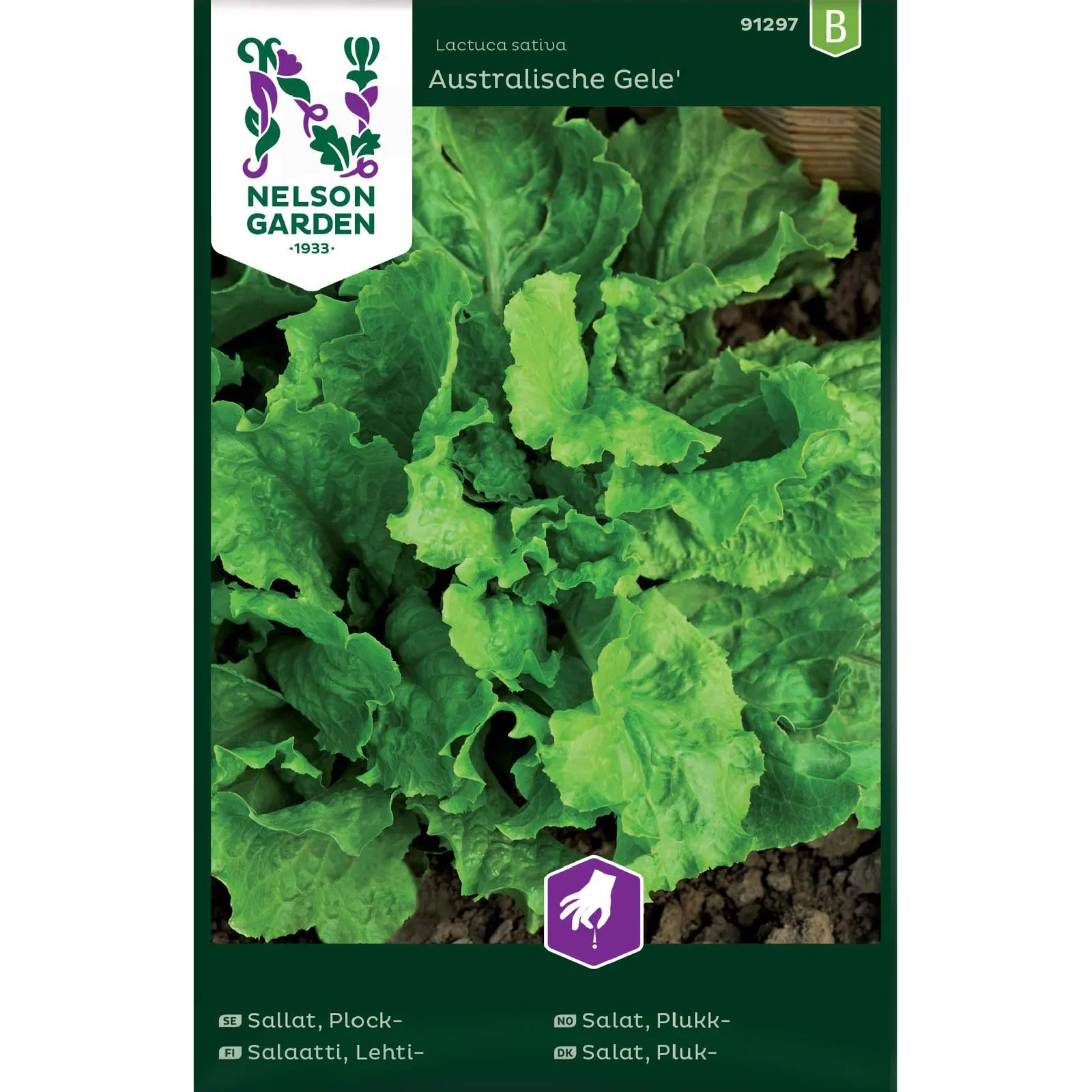 Lactuca sativa 'Australische Gele' Bladsalat Australische Gele'