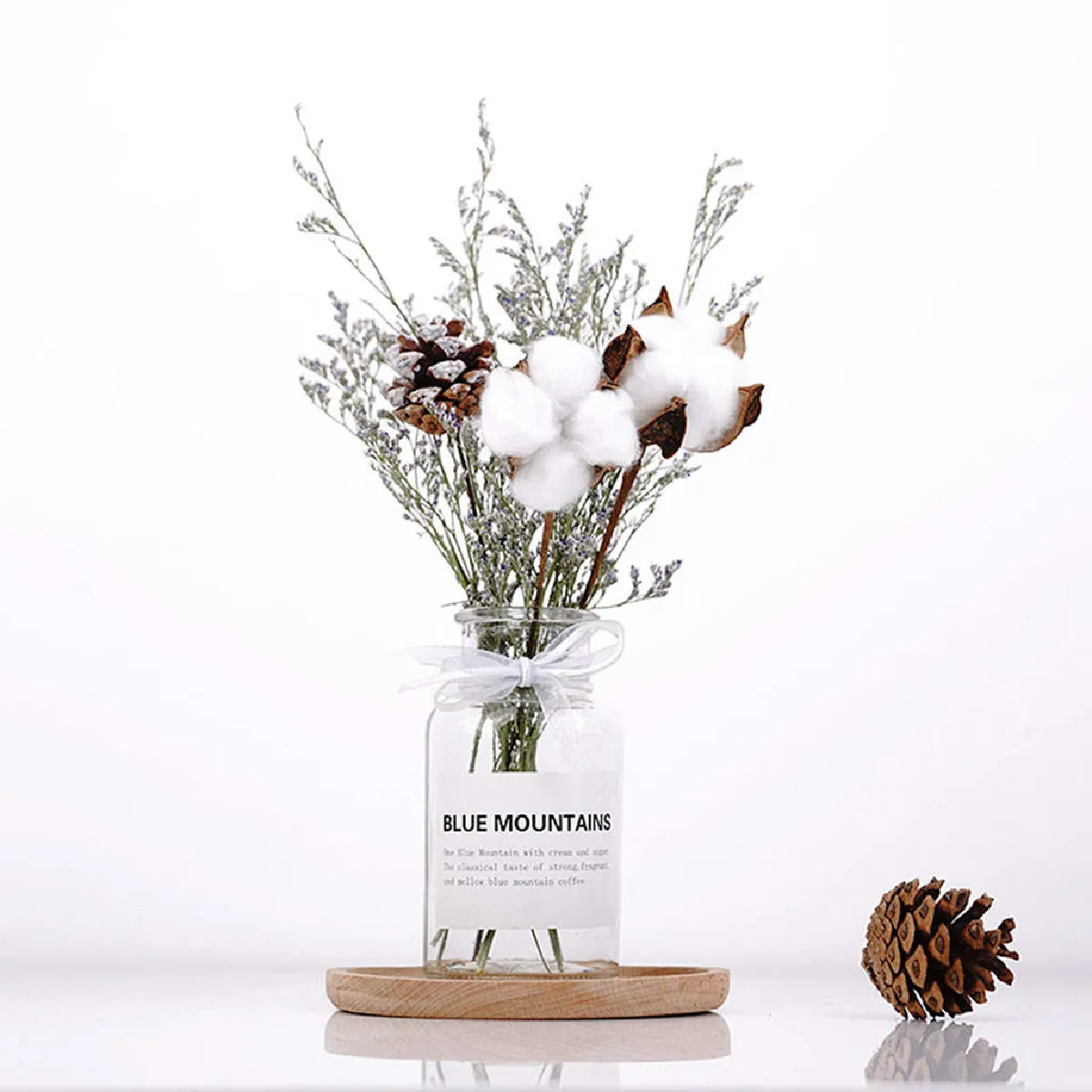 Jardinière Terrarium Verre
