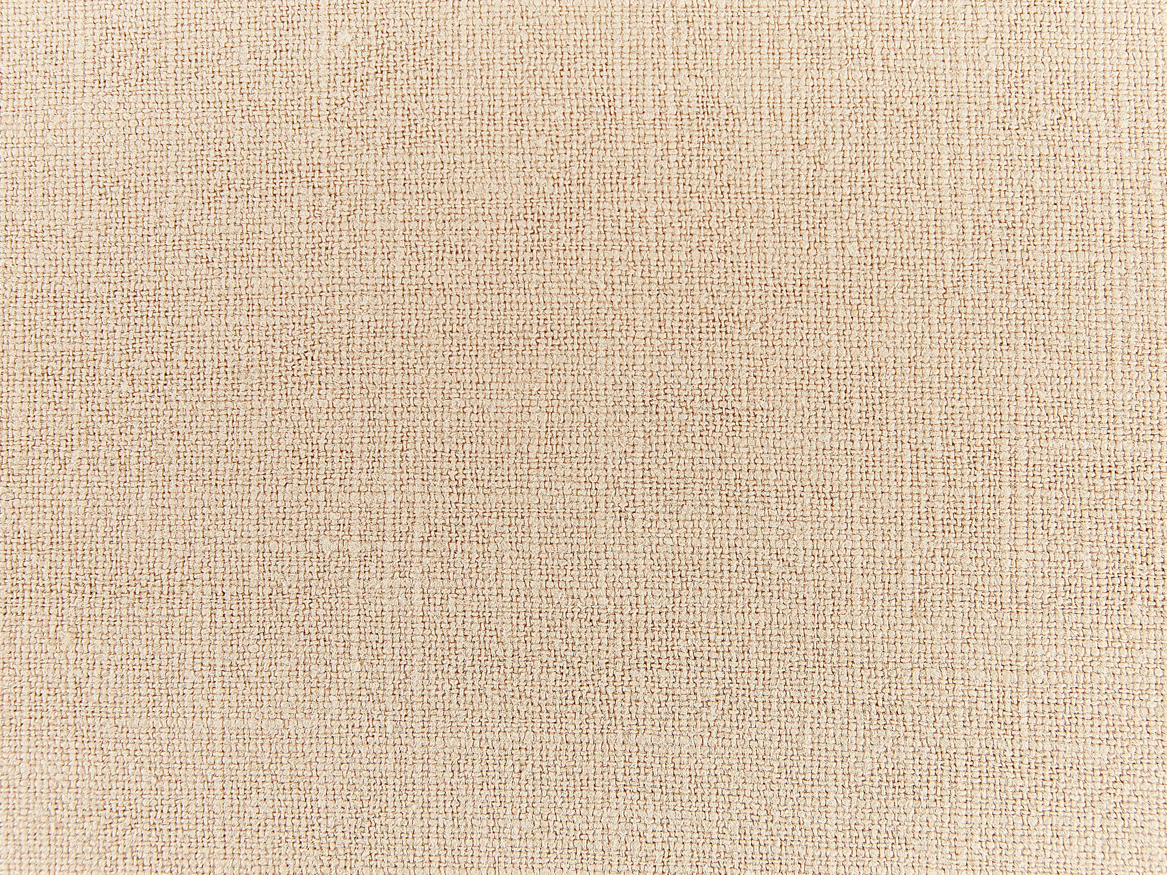 Set van 2 sierkussens GUZMANIA 45 x 45 cm Beige effen
