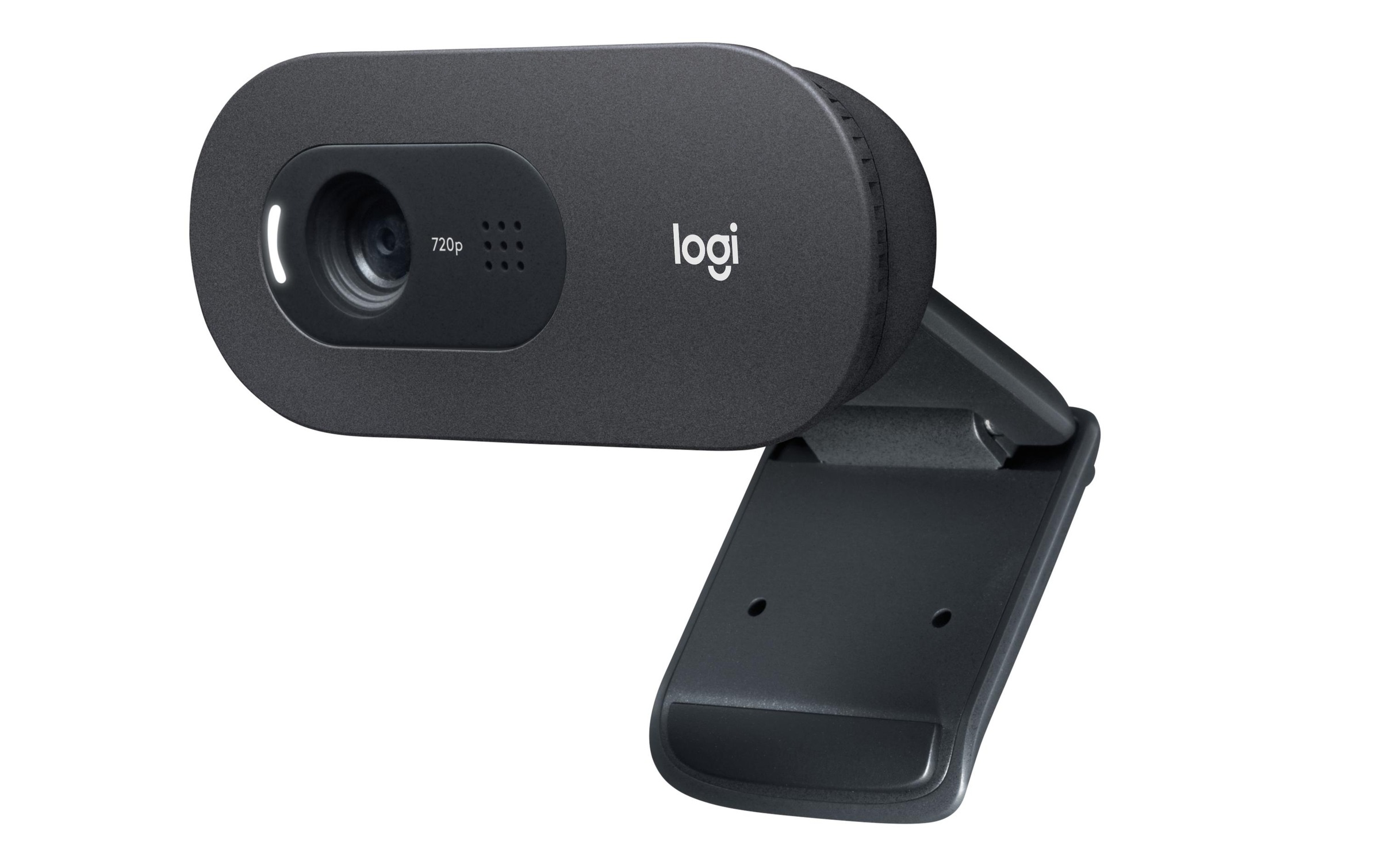 Logitech Webcam »C505e HD Bulk«