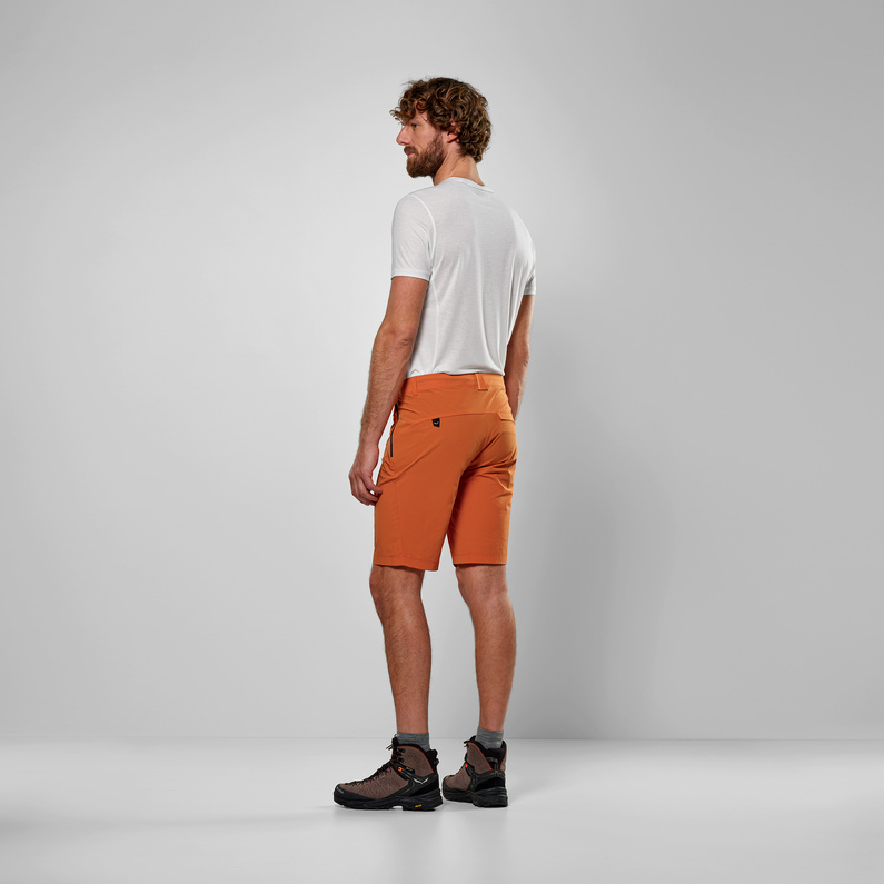 Salewa Herren Puez Talveno DST Shorts