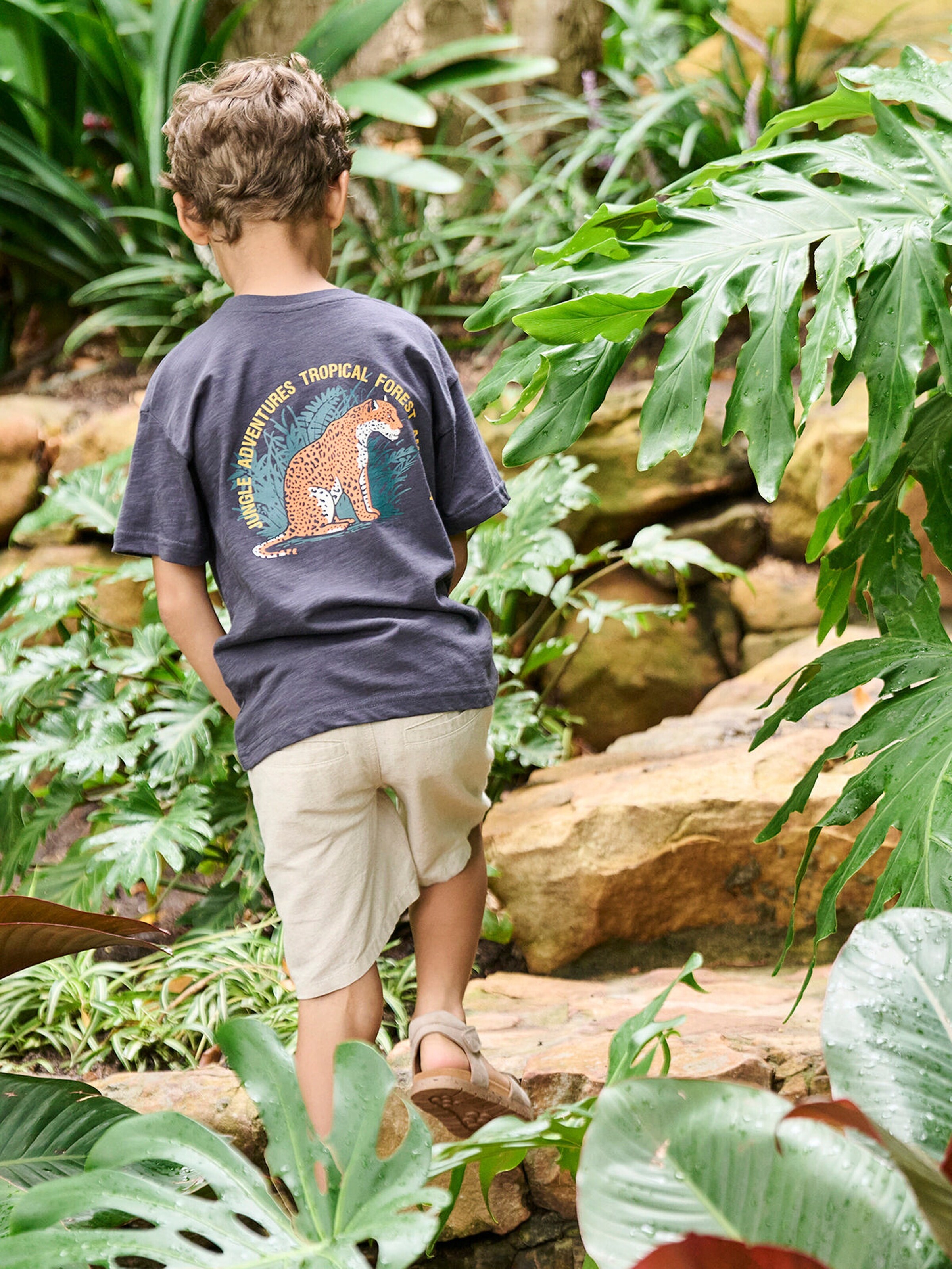 Vertbaudet Jungen T-Shirt mit Tiger vorn und hinten, Recycling-Baumwolle anthrazit