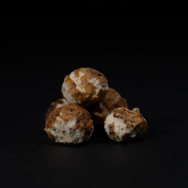 Tactic Carp Trigger Tigernut Wafters