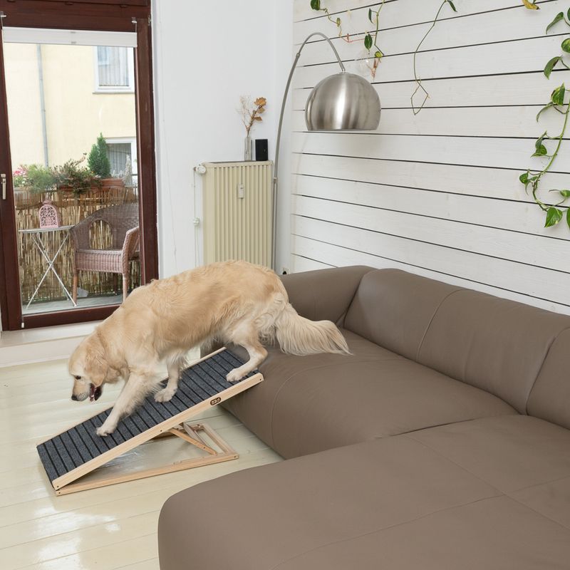 Rampe TIAKI Up&Down pour animaux