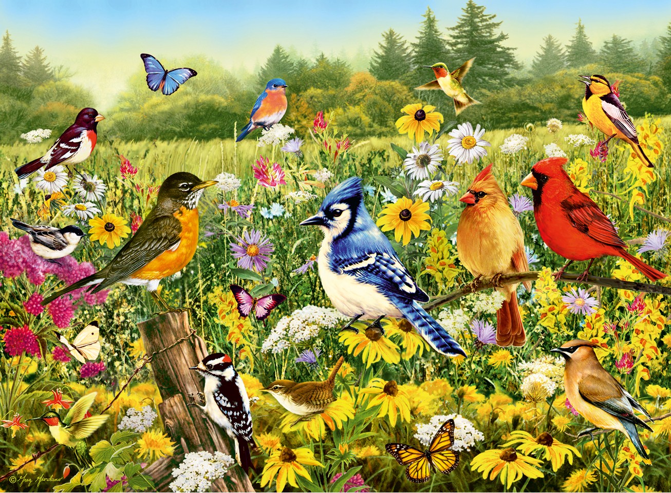Ravensburger - Puslespil Birds in the Meadow 500 brikker