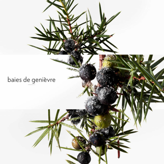 Terre d'Hermès Eau Givrée Eau de Parfum HERMÈS