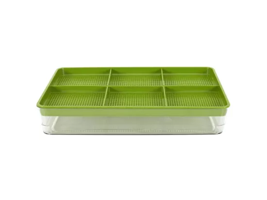Plateau de Germination 