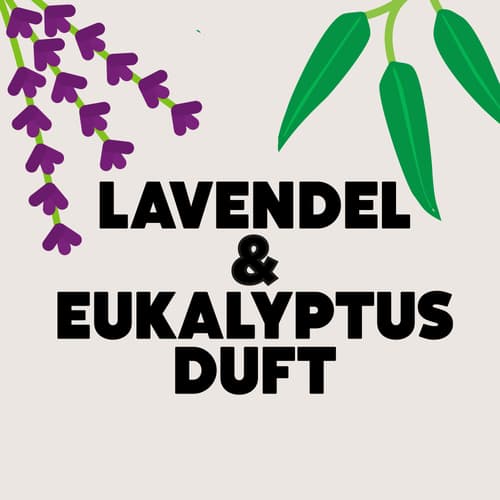 Ecover Universal Waschpulver Lavendel