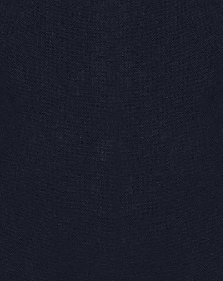 Langarm-Poloshirt BABY BOYS SPECIAL DAY in navy