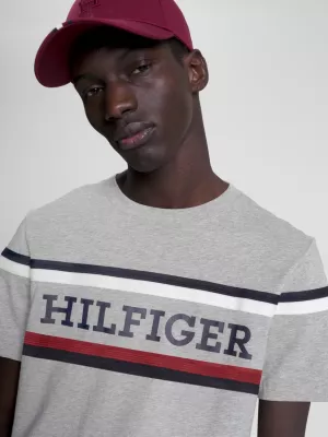 Camiseta Hilfiger Monotype Global Stripe