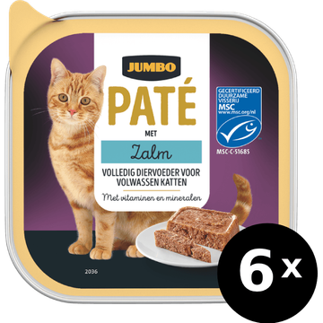 Jumbo Paté met Zalm 6 x 100 g
