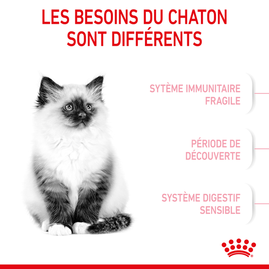 Croquettes Kitten Second Age pour chaton de 4 à 12 mois 2kg